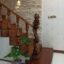 قیمت نرده چوبی اصفهان - size 64x64
